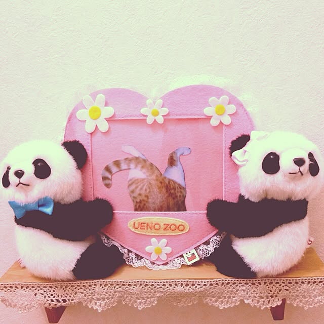 kyu_riさんの実例写真