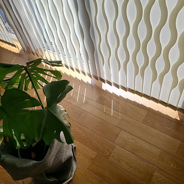 Rubiconさんの部屋