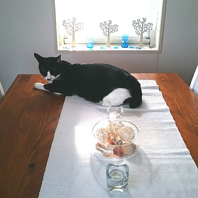 hiyo.pietさんの実例写真