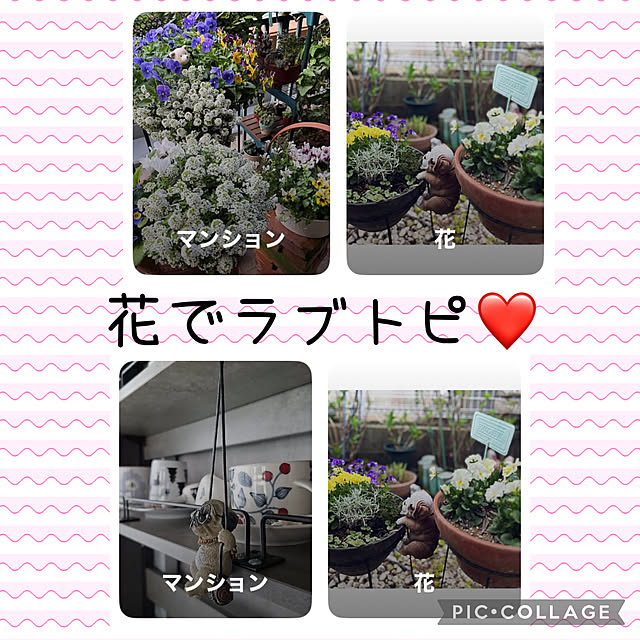 CoCo0617さんの実例写真