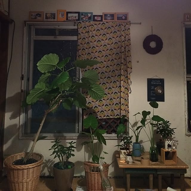 greenteaさんの実例写真