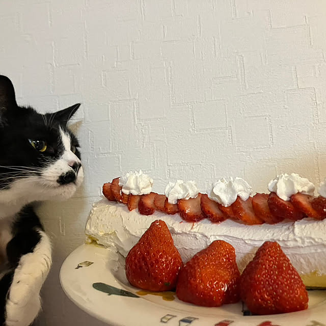nekoさんの実例写真