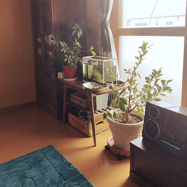 mizuさんの実例写真