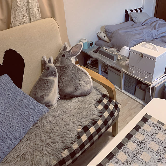 woyukiさんの実例写真