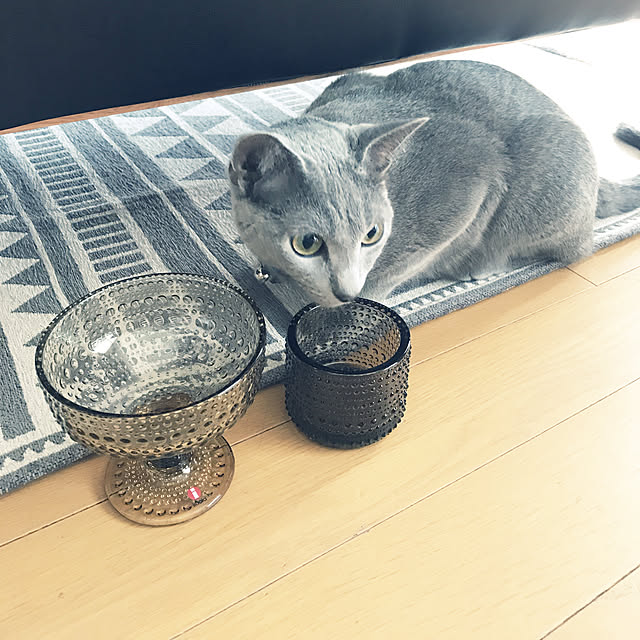 chiyaさんの実例写真