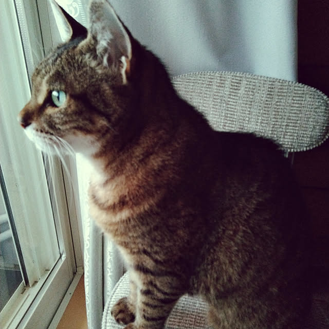 lilyさんの実例写真