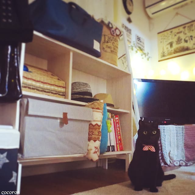 cocoronさんの実例写真