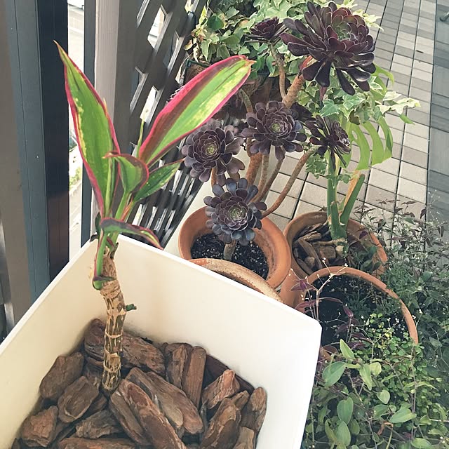 s-na3さんの実例写真