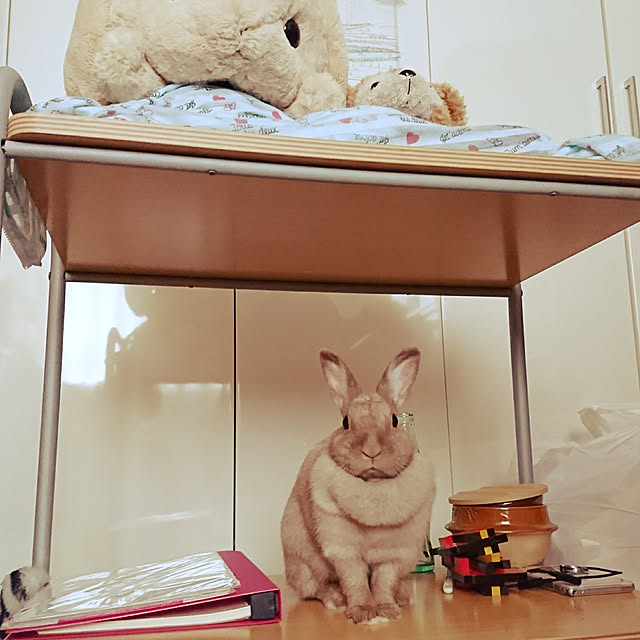 miru-neさんの実例写真