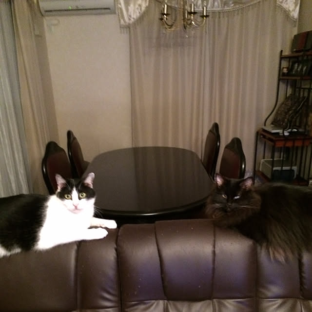 nya_sanさんの実例写真