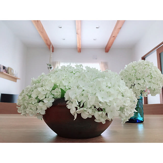 umikoさんの実例写真