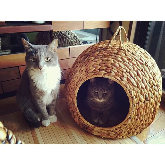 amaneさんの実例写真