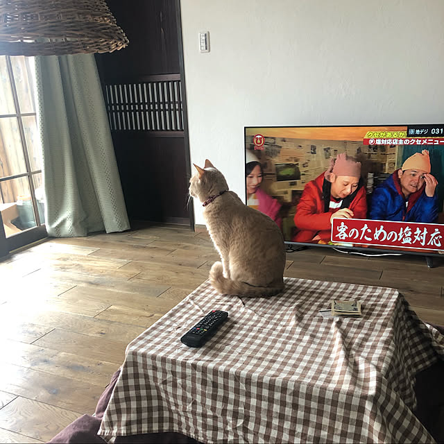 M3さんの実例写真