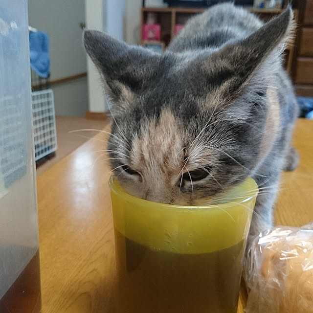 shinobuさんの実例写真