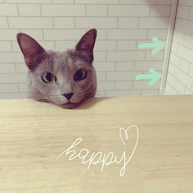 snoopyさんの実例写真