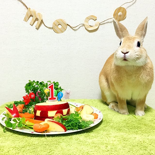 khj1974さんの実例写真