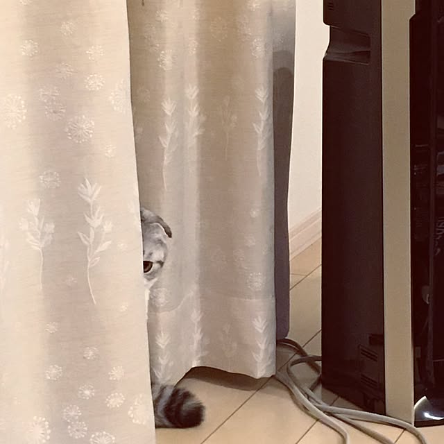 yokkochanさんの実例写真