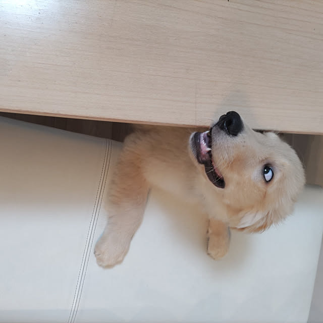 k.manさんの実例写真