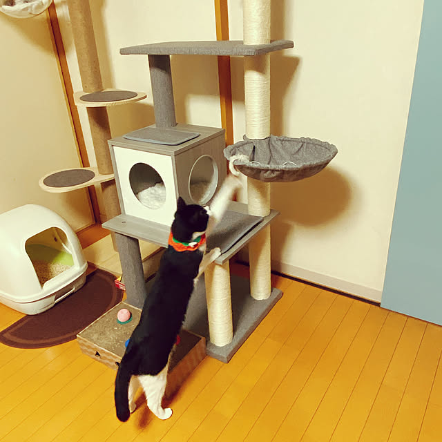 moolさんの実例写真