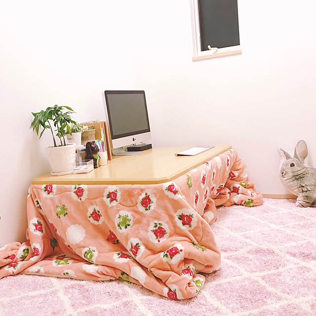 amyumyu0u0さんの実例写真