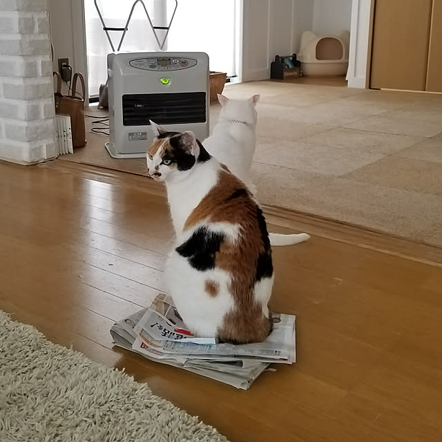 Kinanさんの実例写真