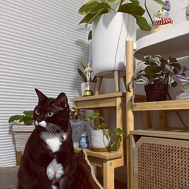 masamasaさんの部屋