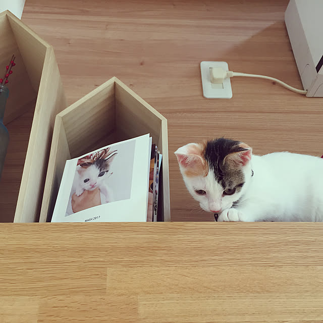 Kuronecoさんの実例写真