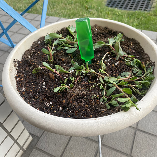 YuuKoさんの部屋
