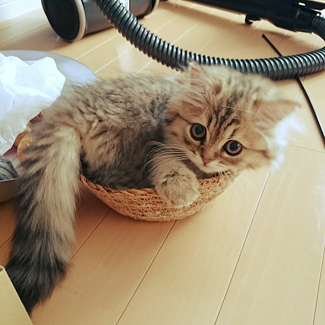 hanaさんの実例写真