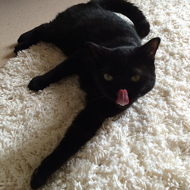 chadoさんの実例写真