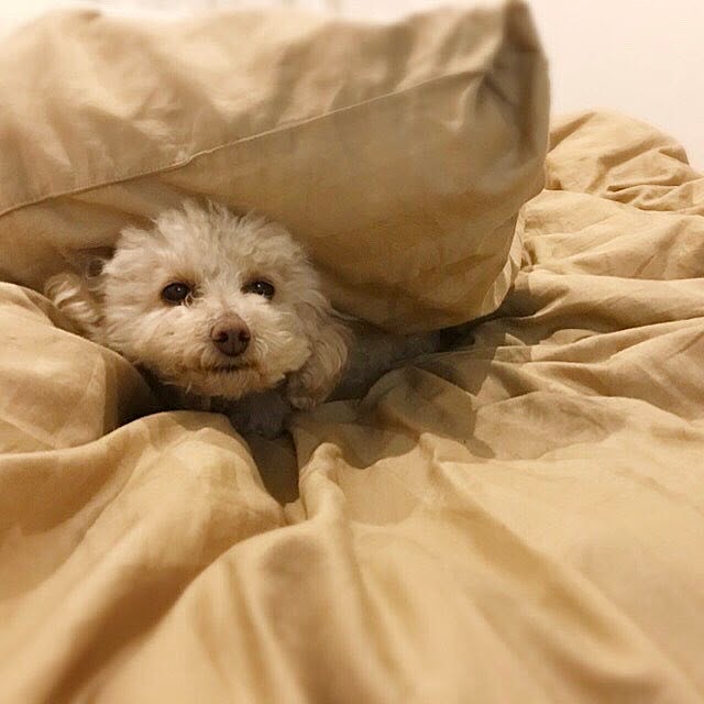 Rinさんの実例写真