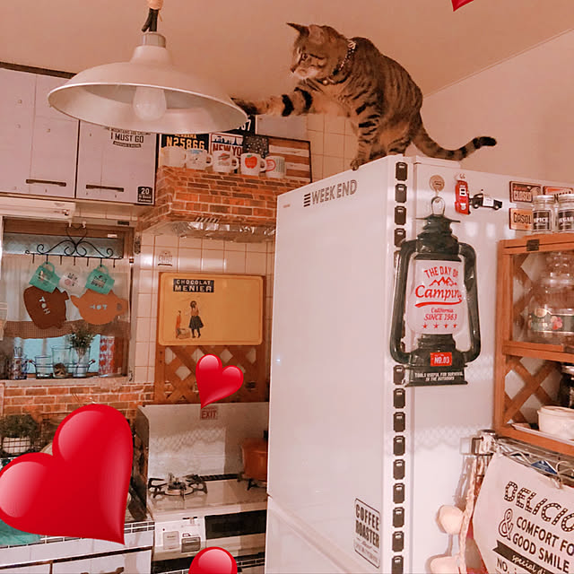 キッチンのインテリア実例 - 2018-07-02 19:58:19
