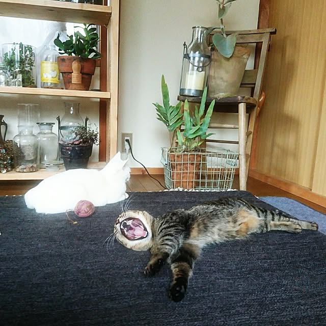 weさんの実例写真