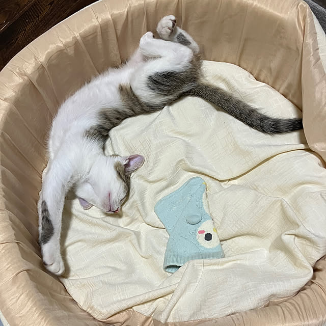 ha_koさんの実例写真