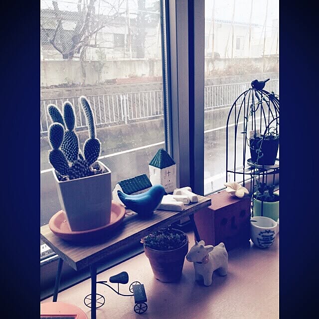 panchanさんの実例写真
