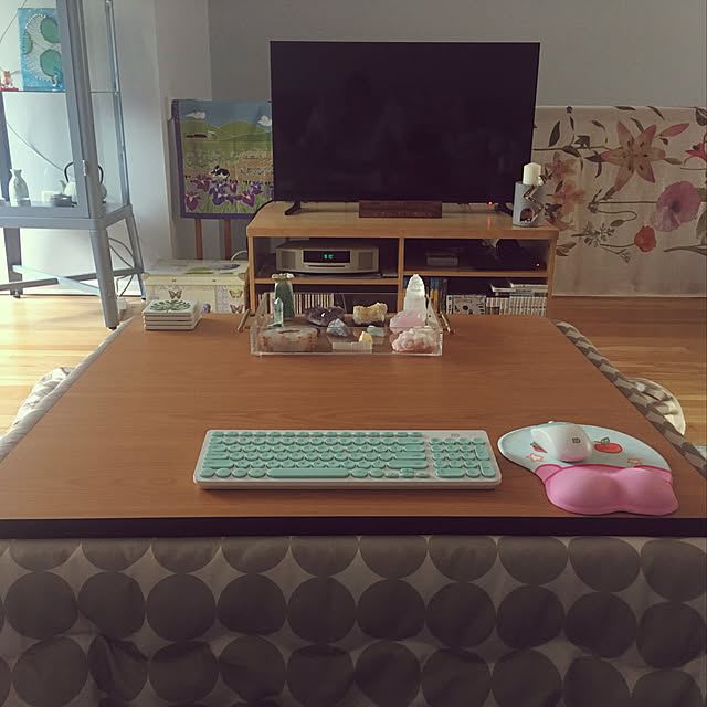 リビングのインテリア実例 - 2019-06-21 23:18:48