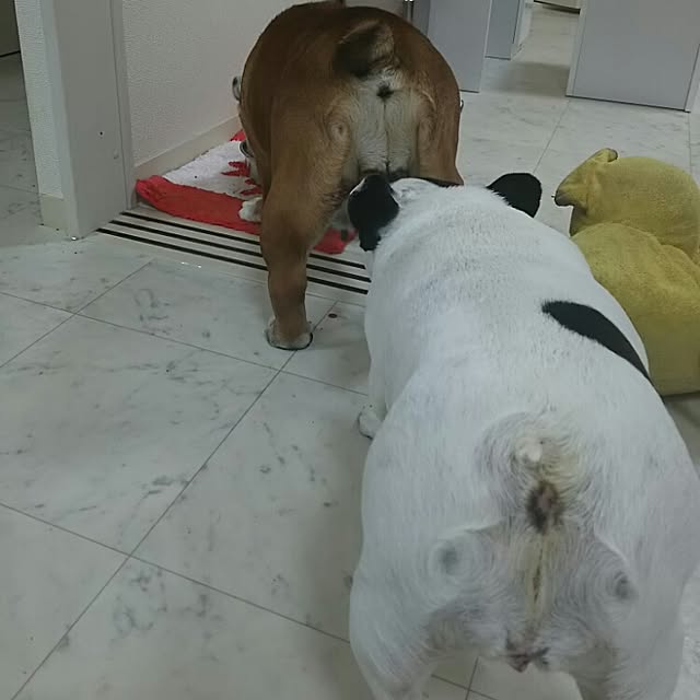 AandPさんの実例写真