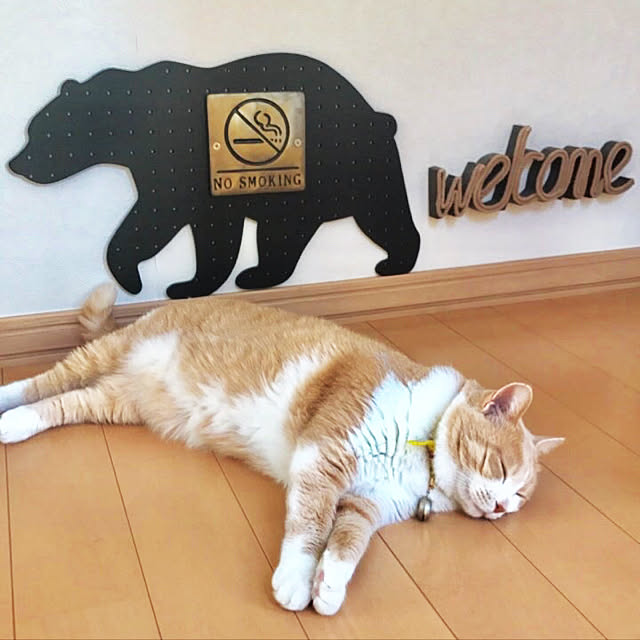 BUNさんの実例写真