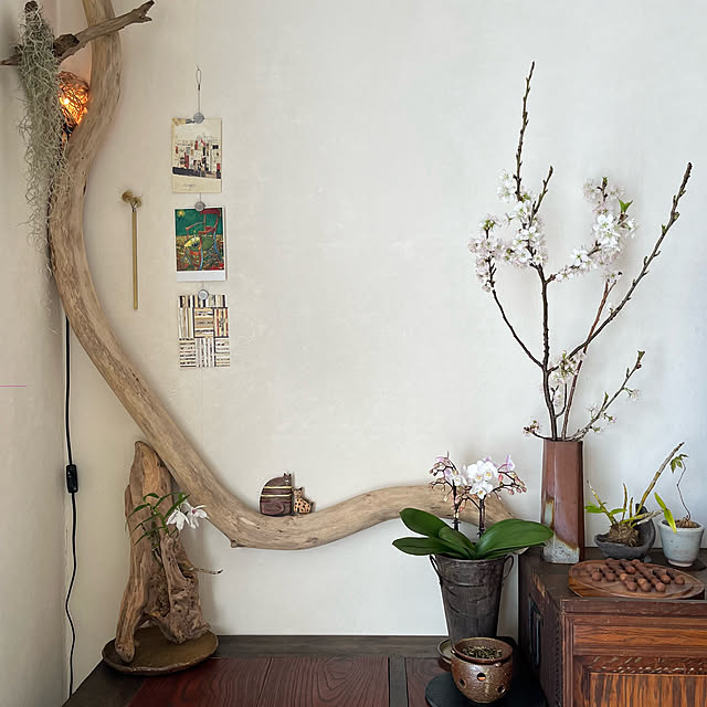 kuuさんの部屋