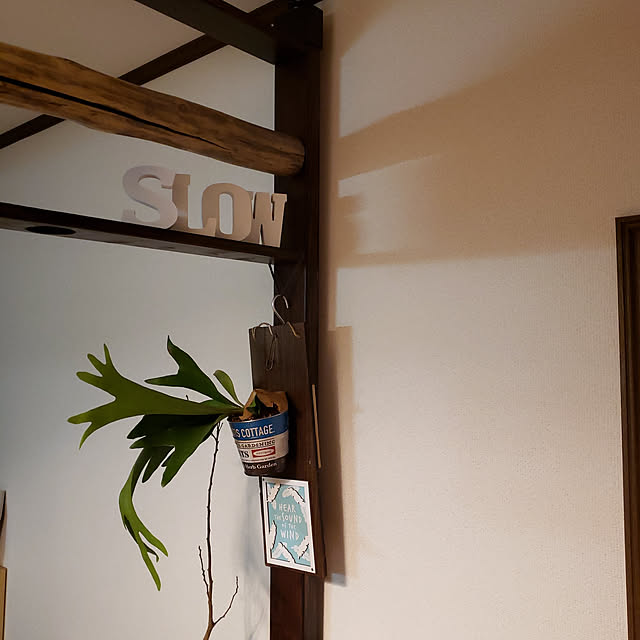 oceanflatさんの実例写真