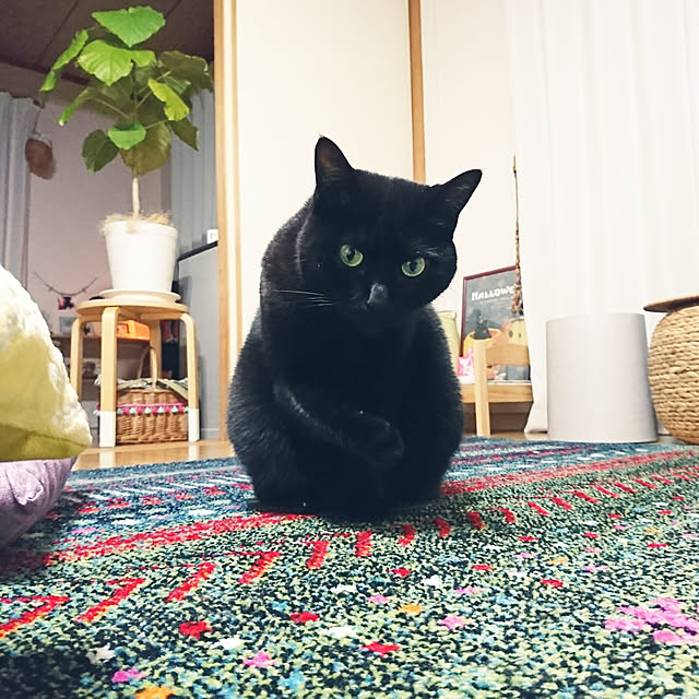 naru2014さんの実例写真
