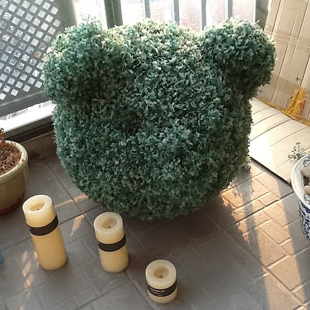 Sangoさんの実例写真