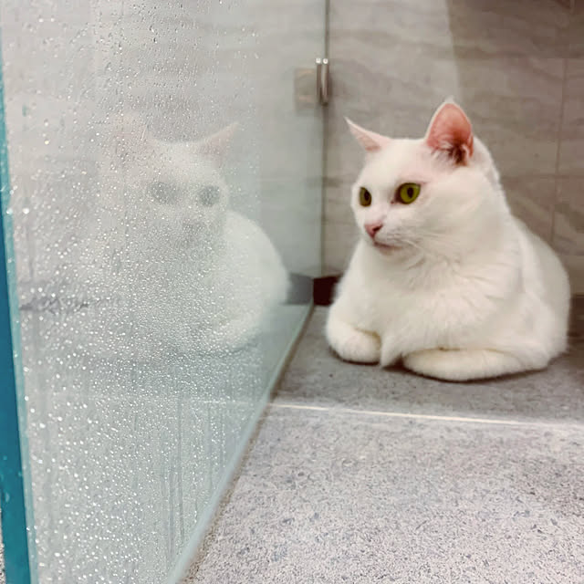 pcu110さんの実例写真