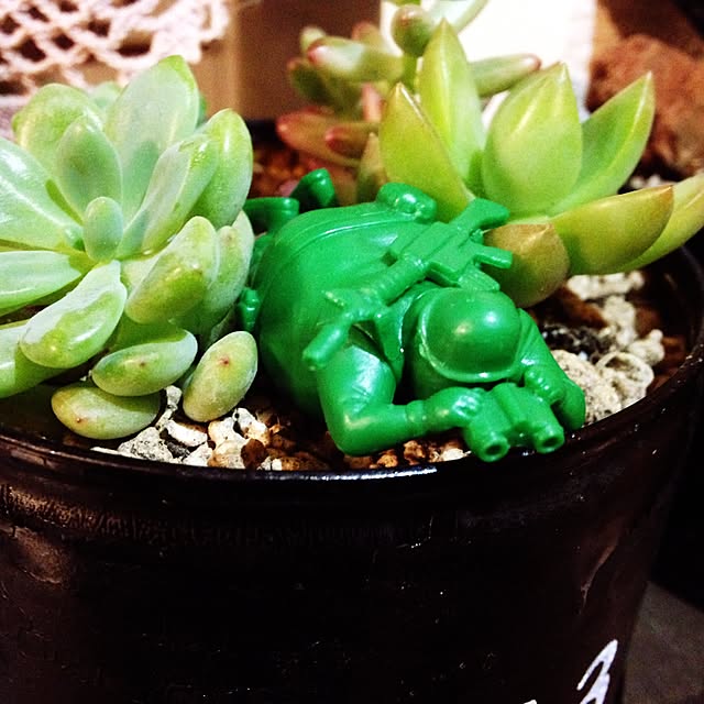 BOTANさんの実例写真