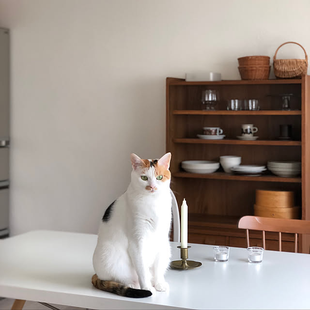 kajiさんの実例写真