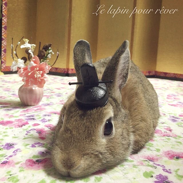 mashiさんの実例写真