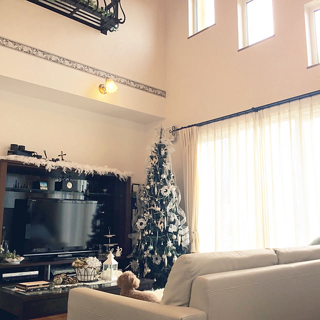 Momoさんの実例写真
