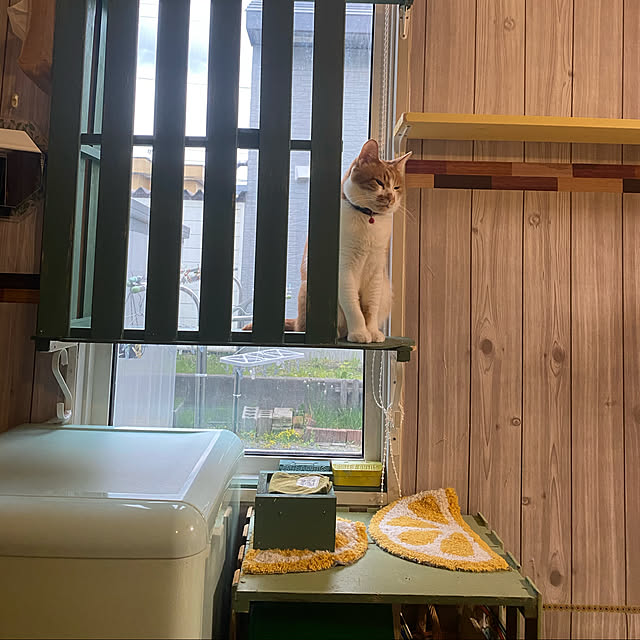 SHIHOさんの実例写真