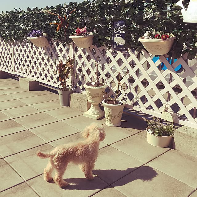 KCOさんの実例写真