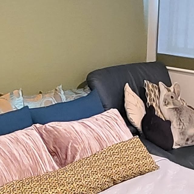 zenoさんの部屋